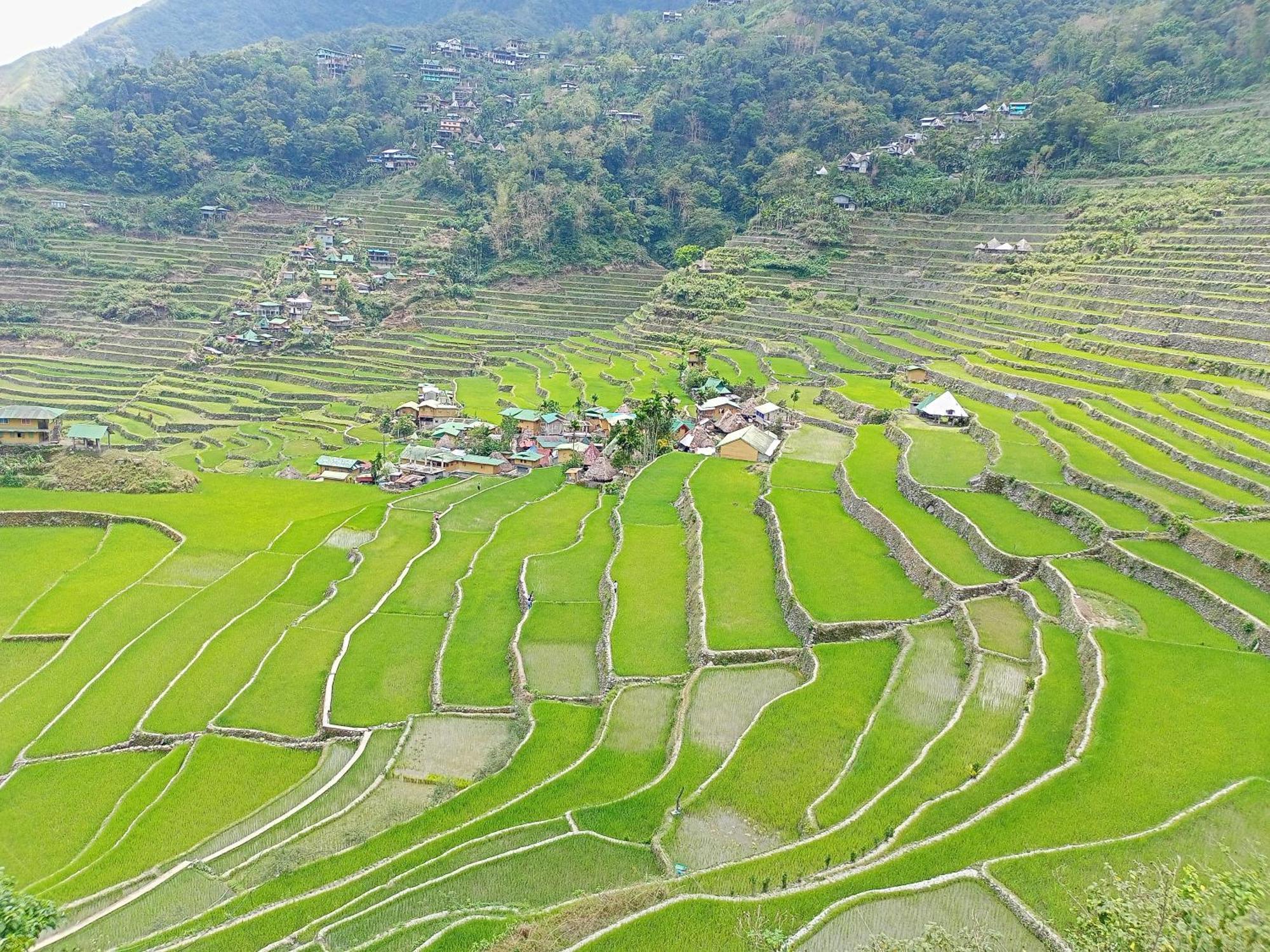 Banaue Transient House Bed And Breakfast Luaran gambar